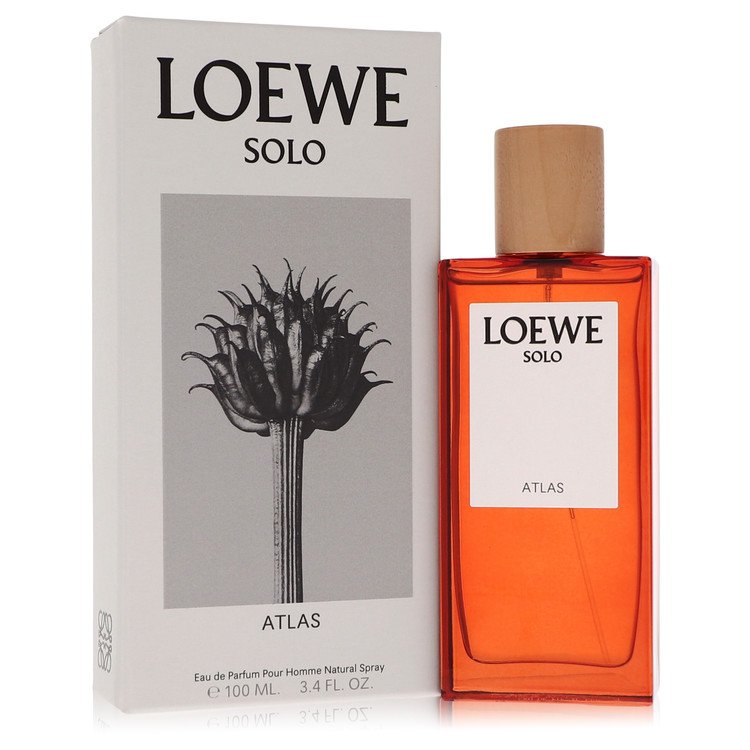 Loewe Solo Atlas Cologne by Loewe