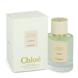 Chloe Cedrus Perfume by Chloe 1.6 oz Eau De Parfum Spray