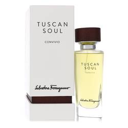 Tuscan Soul Convivio Fragrance by Salvatore Ferragamo undefined undefined